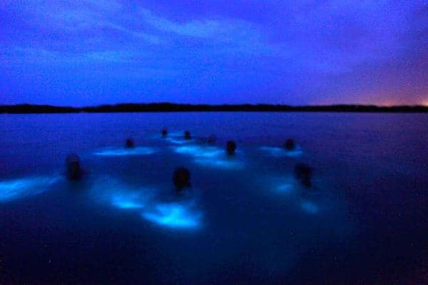 luminous lagoon jamaica youtube