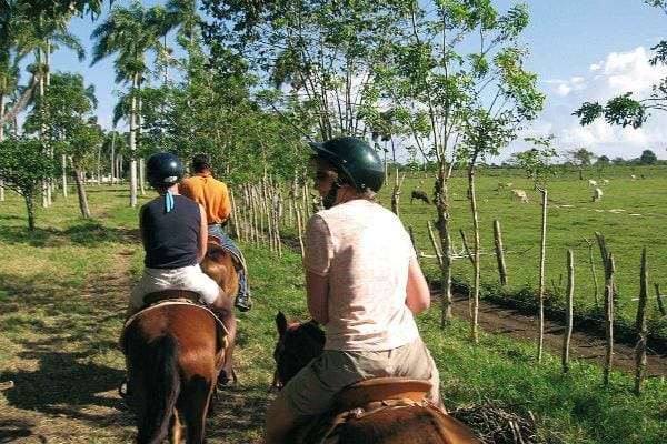 Beach horseback riding at Jamaica 6